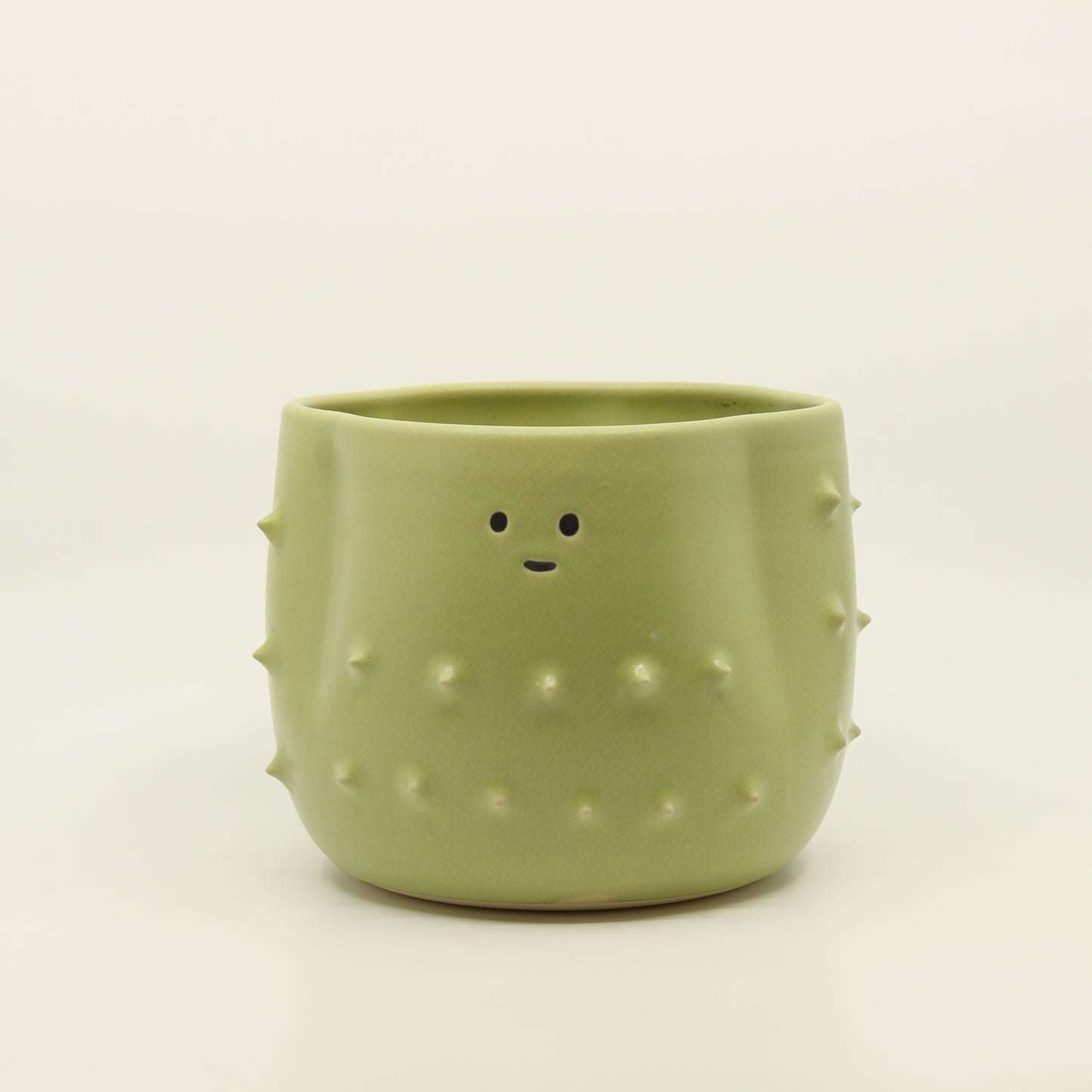 Cactus Plant Pot