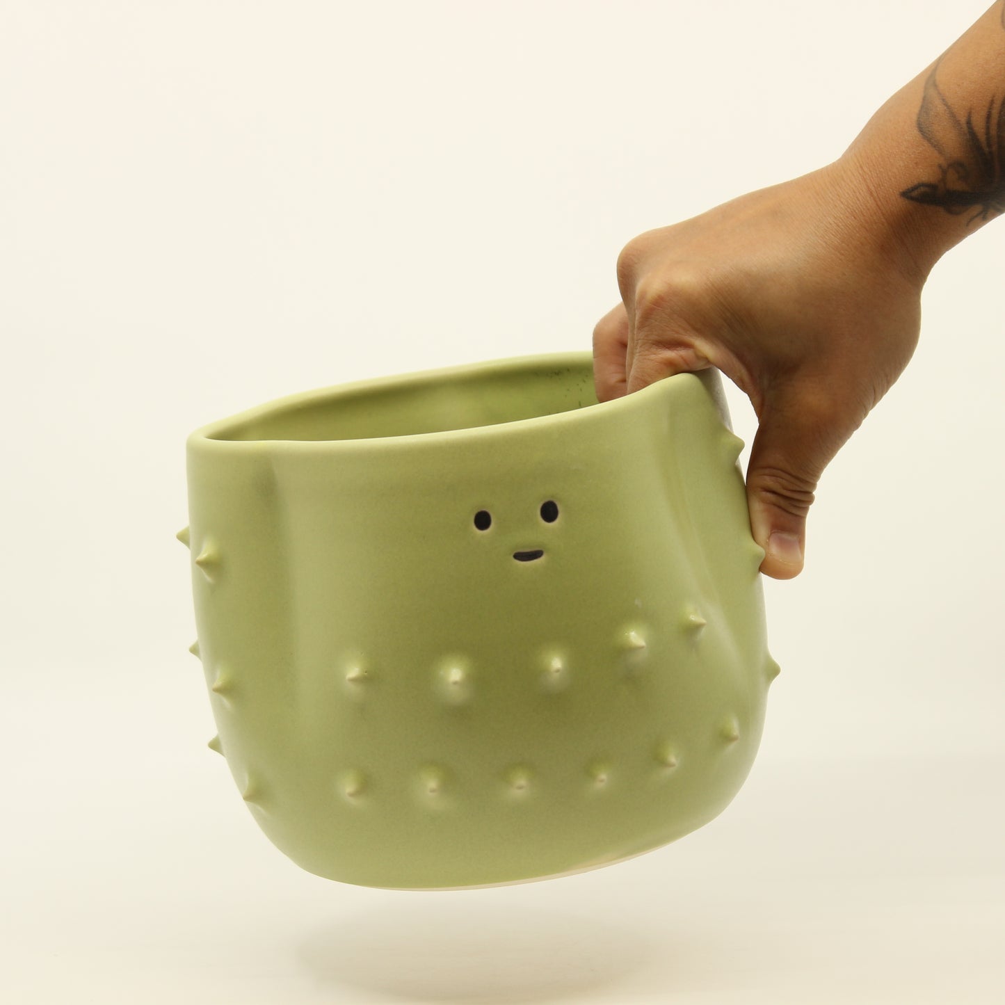Cactus Plant Pot