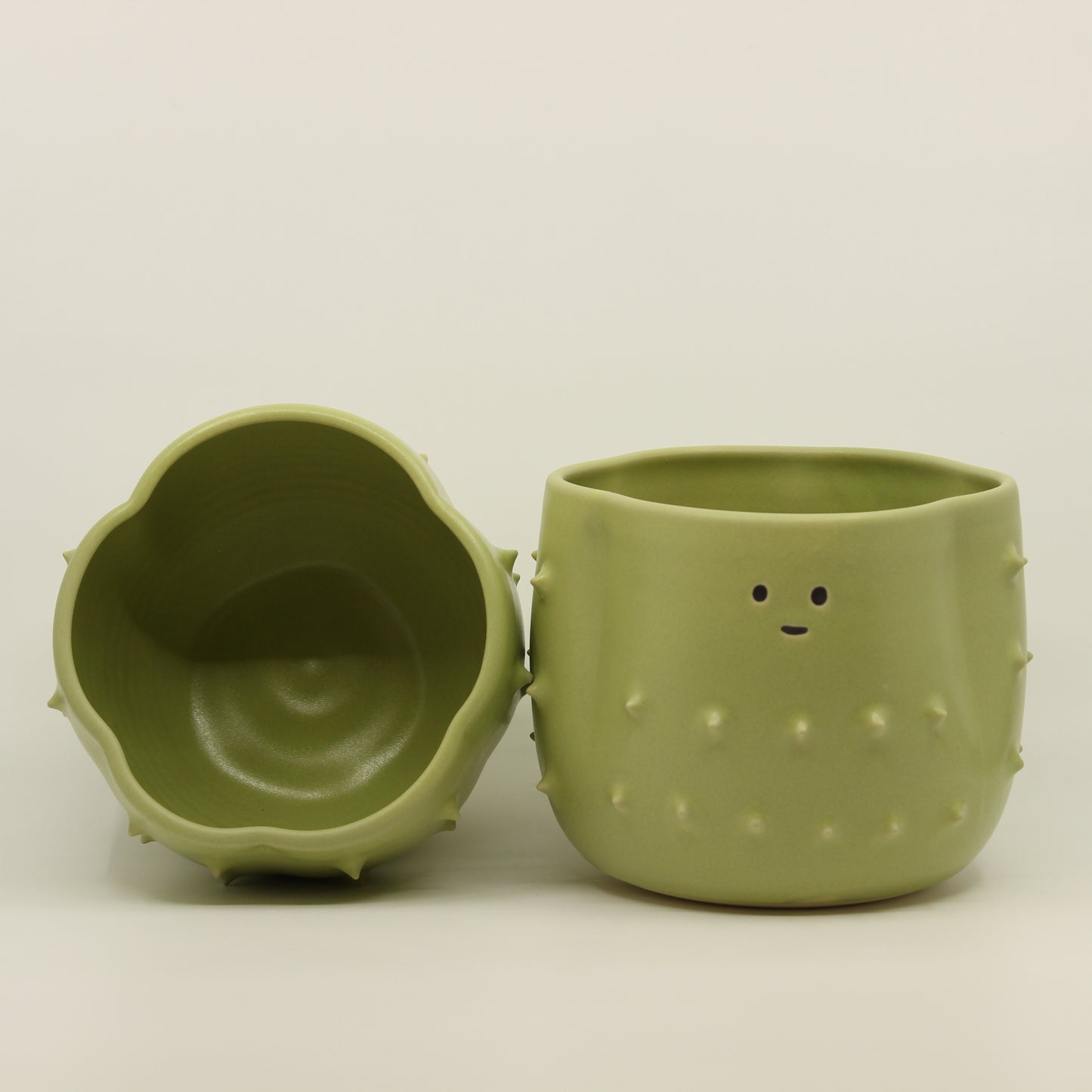 Cactus Plant Pot