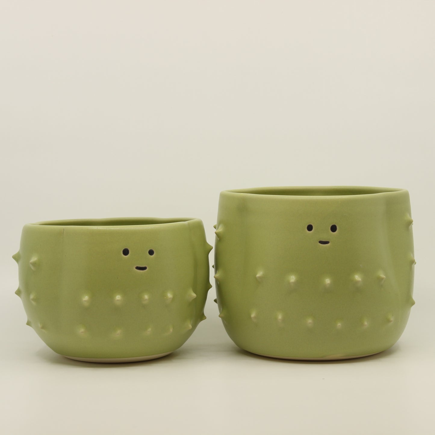 Cactus Plant Pot