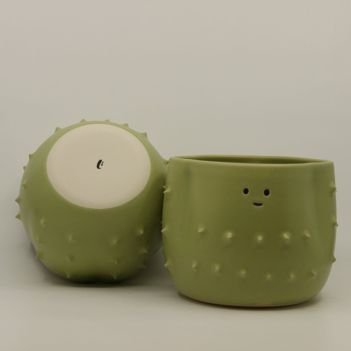 Cactus Plant Pot