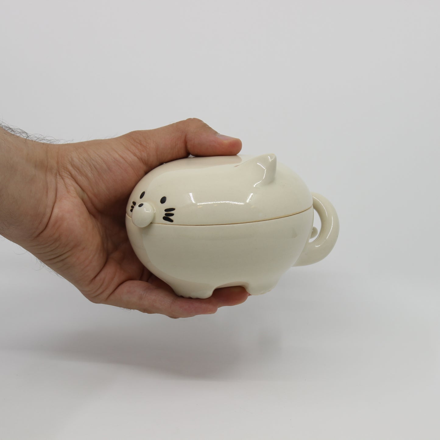Cat the Cover Jar