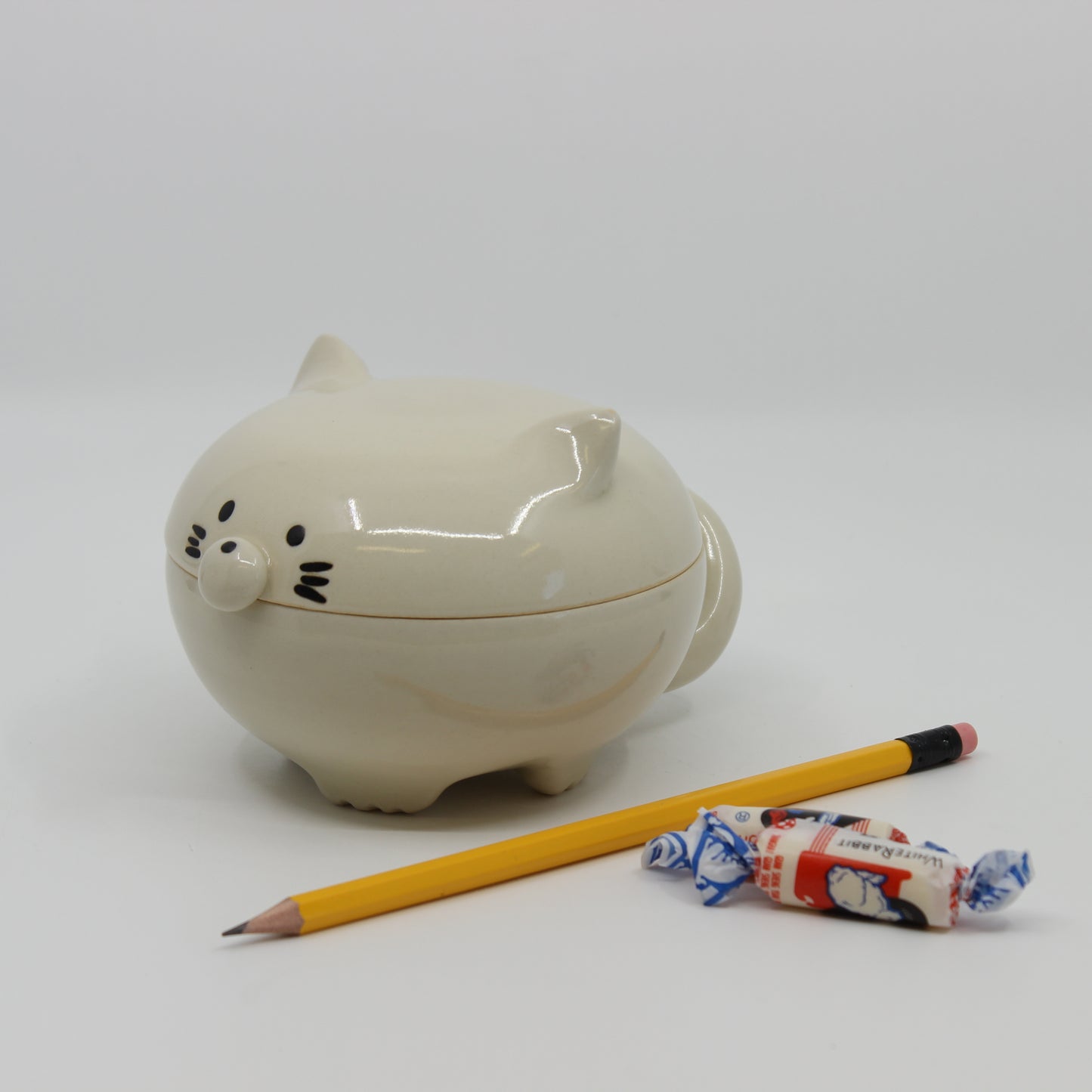 Cat the Cover Jar
