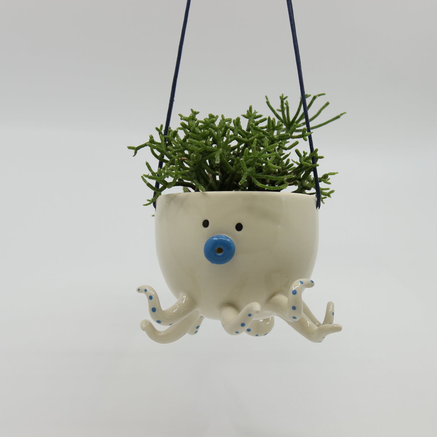 Octoz Hanging Planter