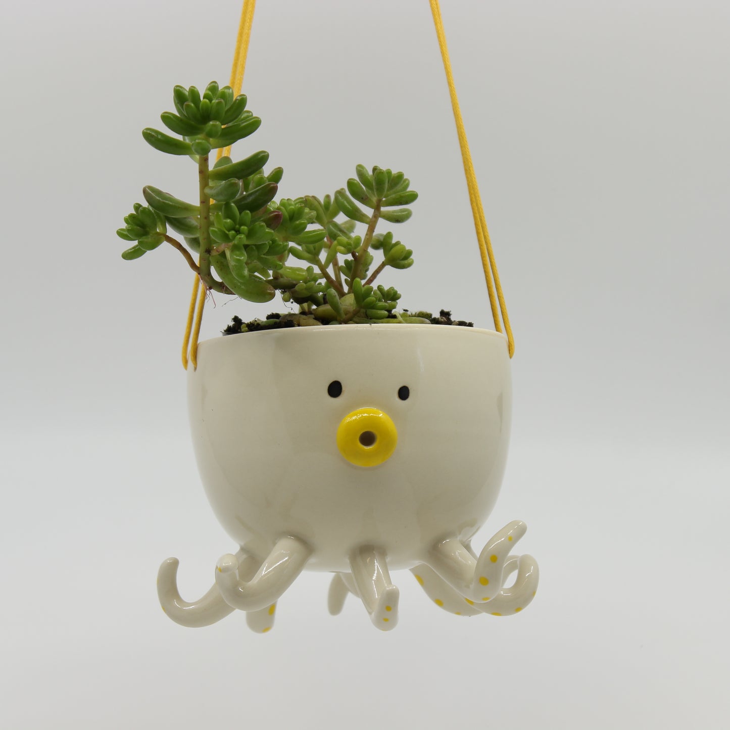 Octoz Hanging Planter