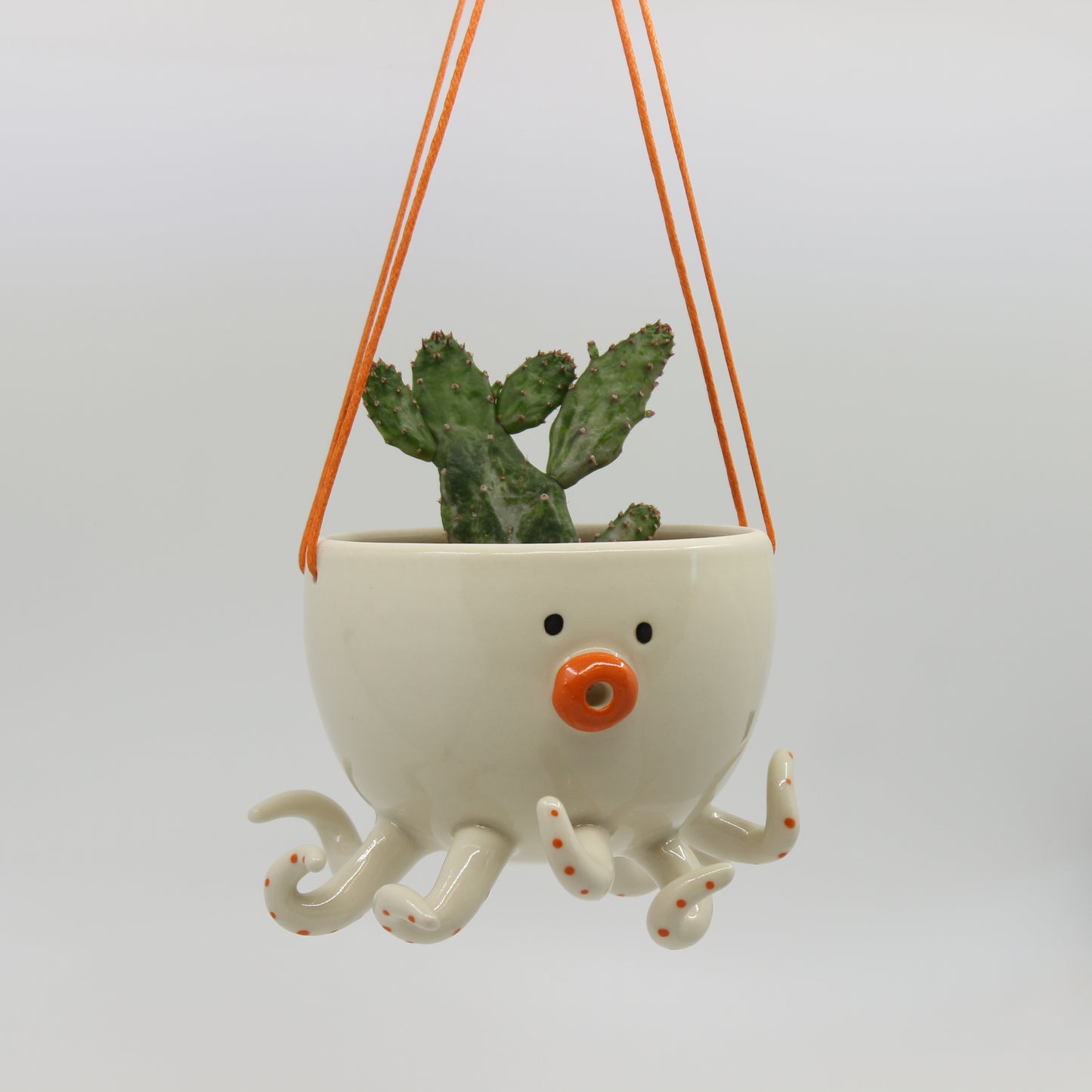 Octoz Hanging Planter