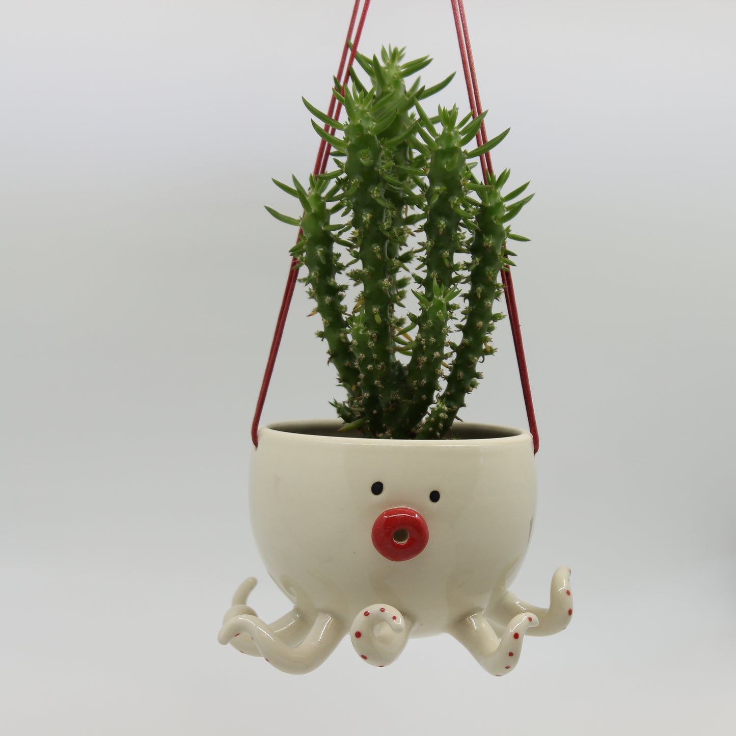 Octoz Hanging Planter