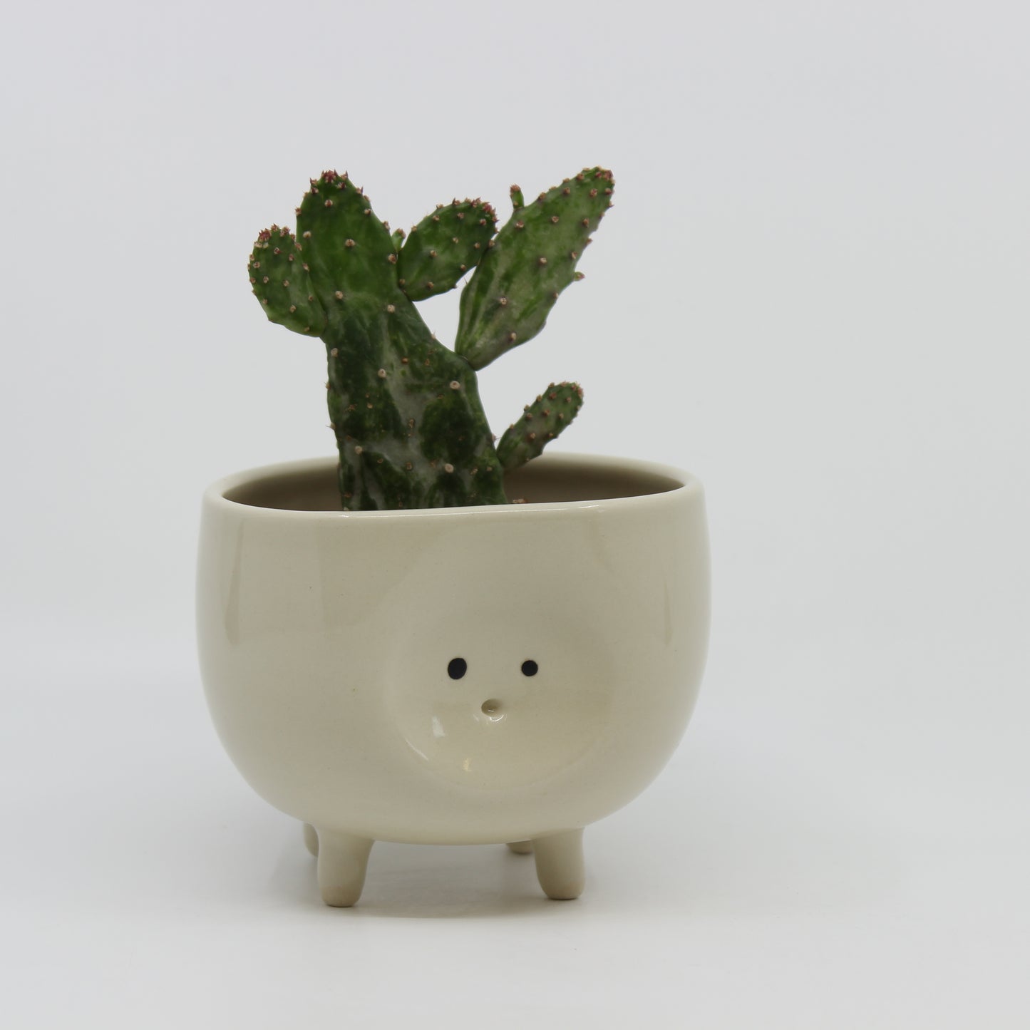 Tippy Toe Planters