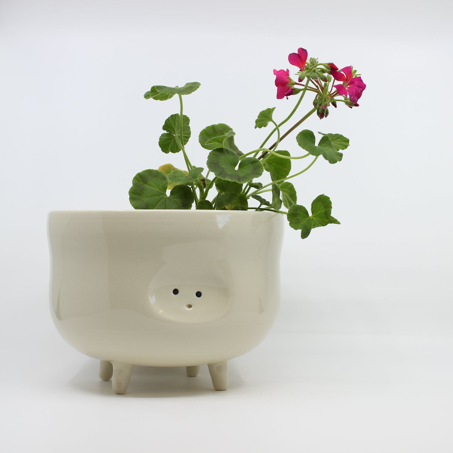Tippy Toe Planters