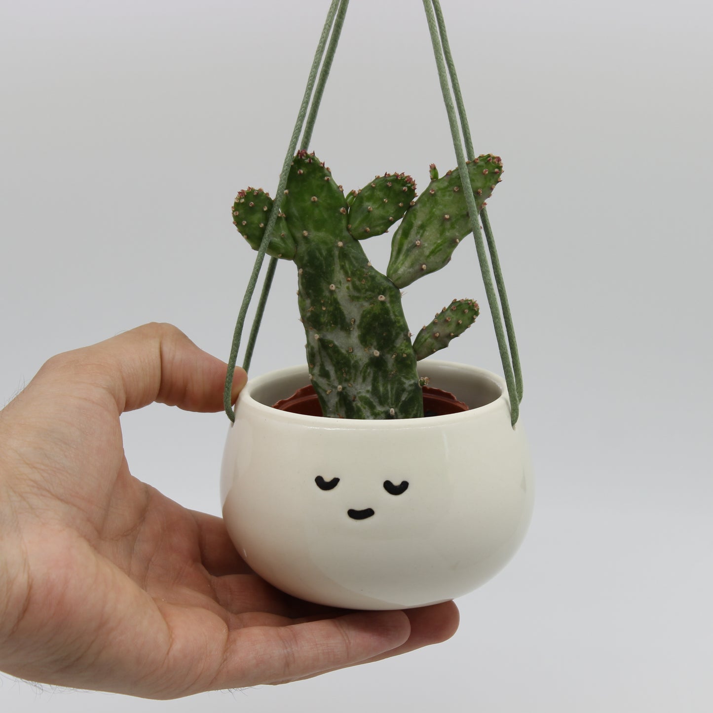 Classic Companion Hanging Planter