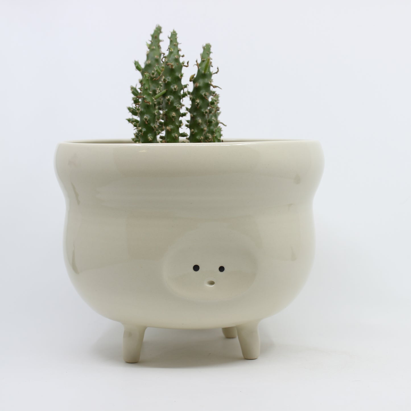 Tippy Toe Planter