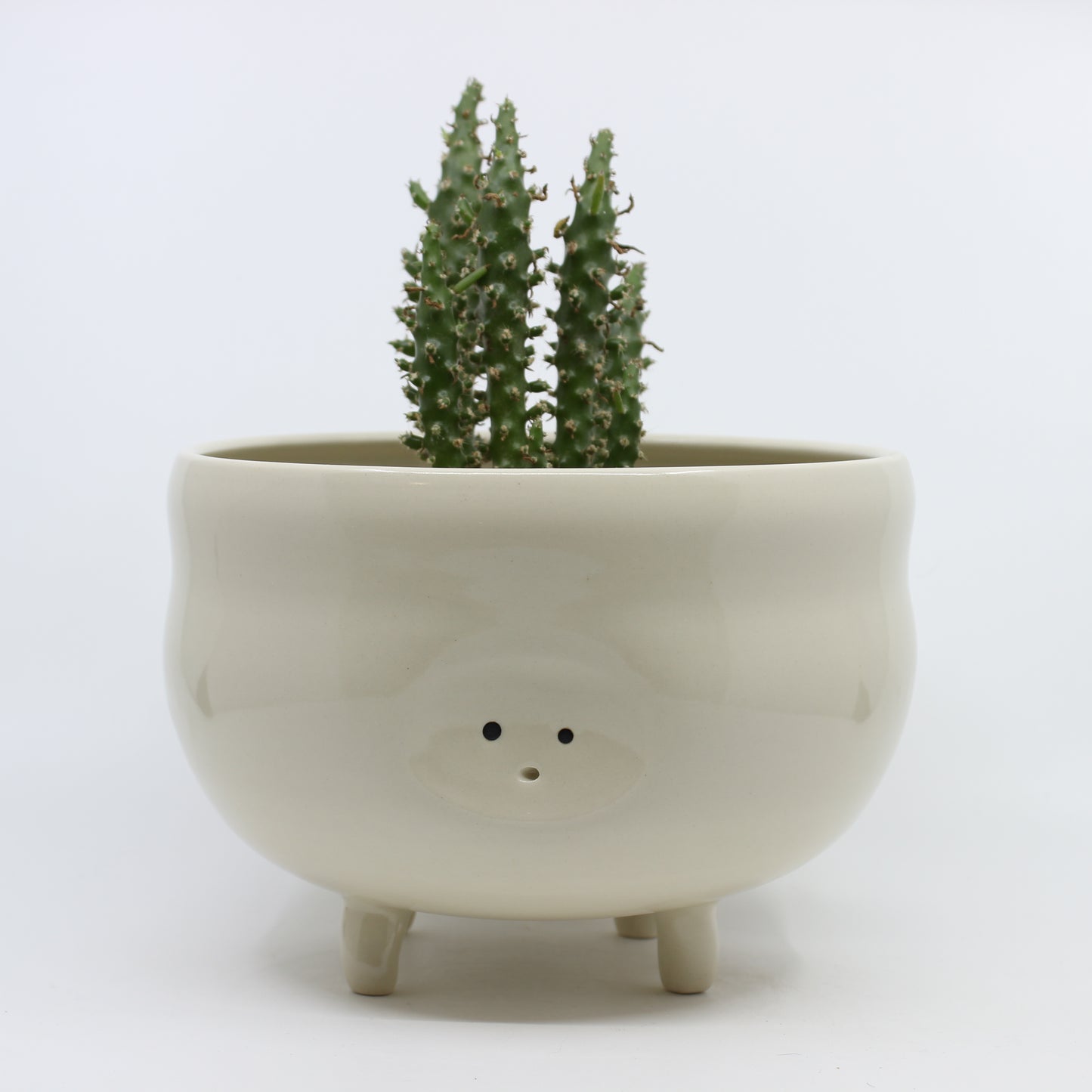 Tippy Toe Planter
