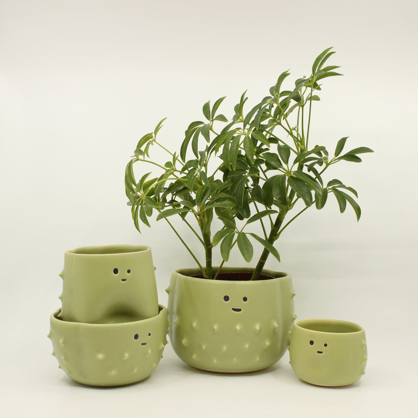 Cactus Plant Pot