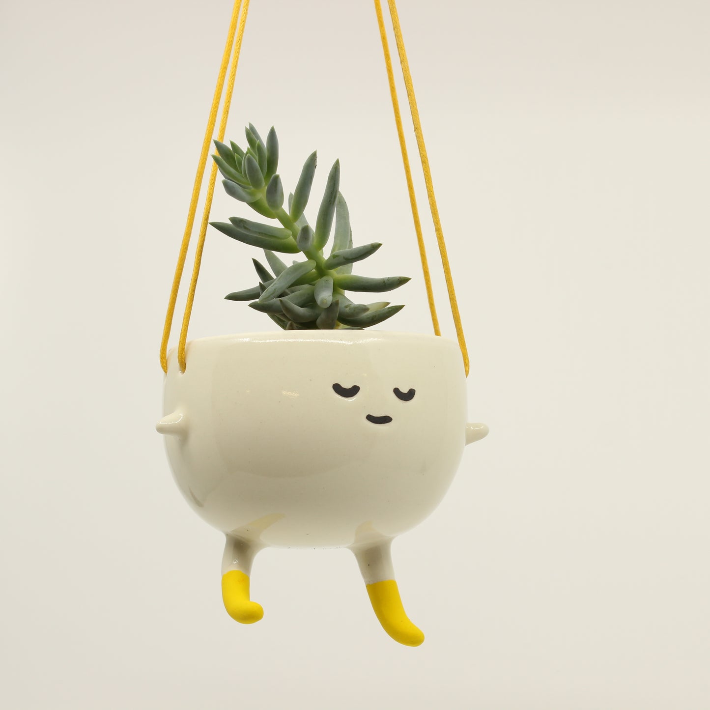 Socks! the Little Hanging Planter