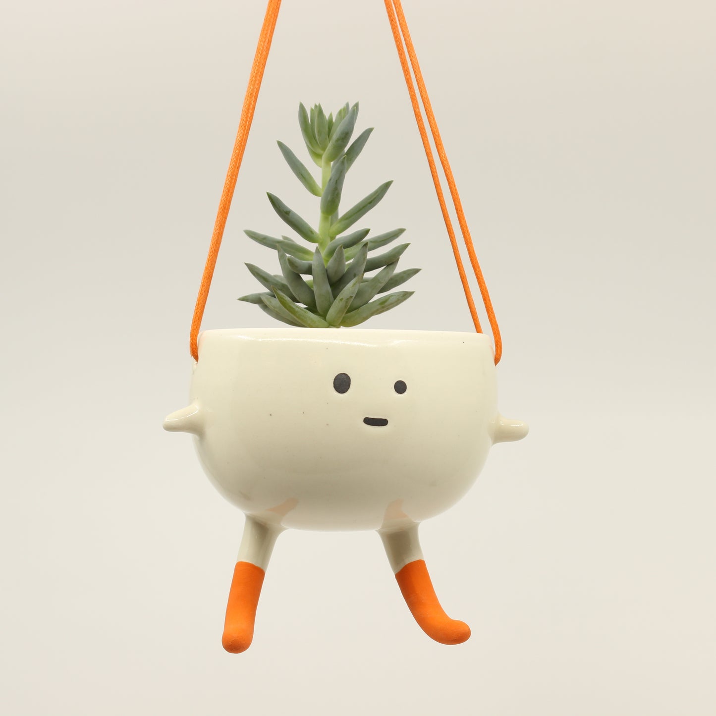 Socks! the Little Hanging Planter