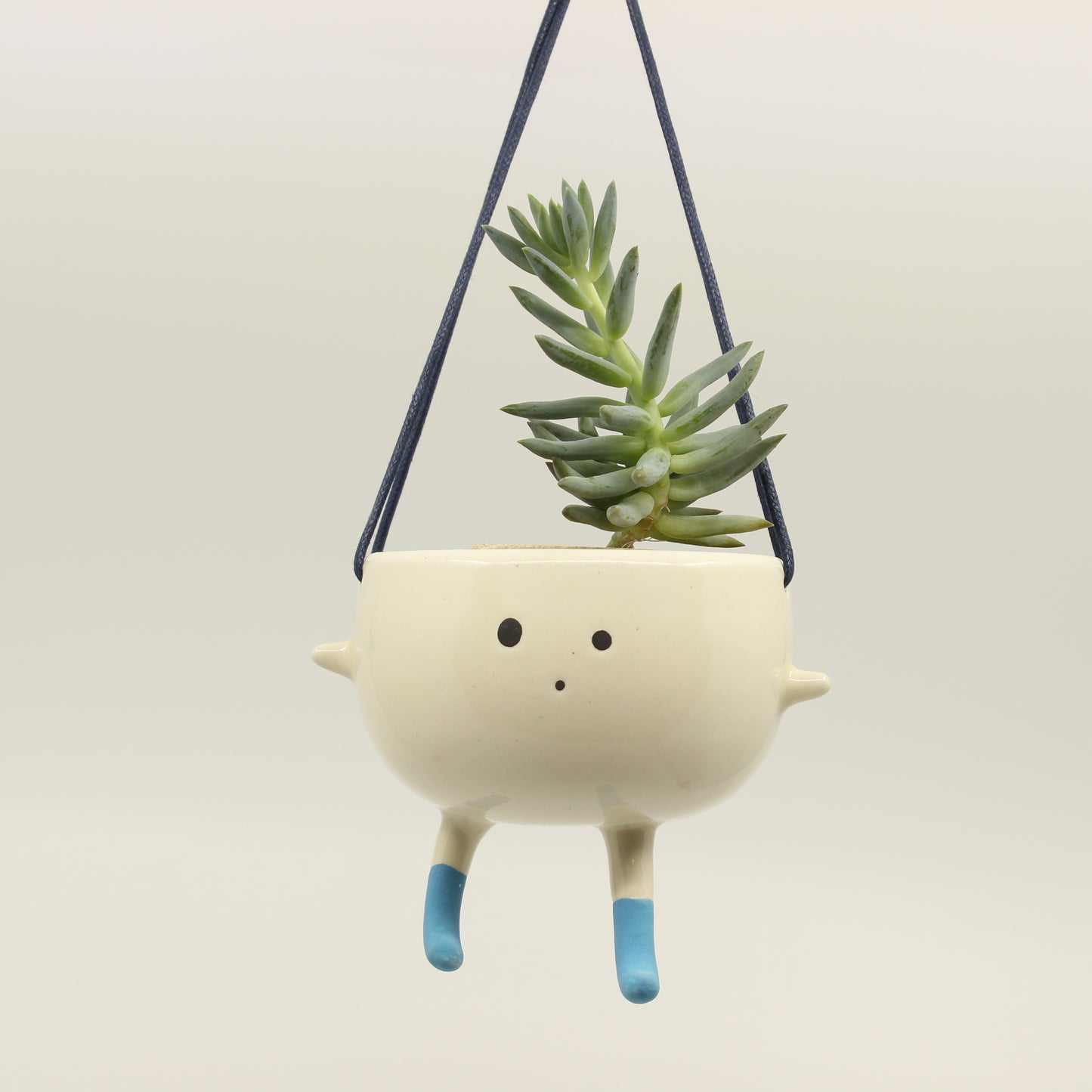 Socks! the Little Hanging Planter