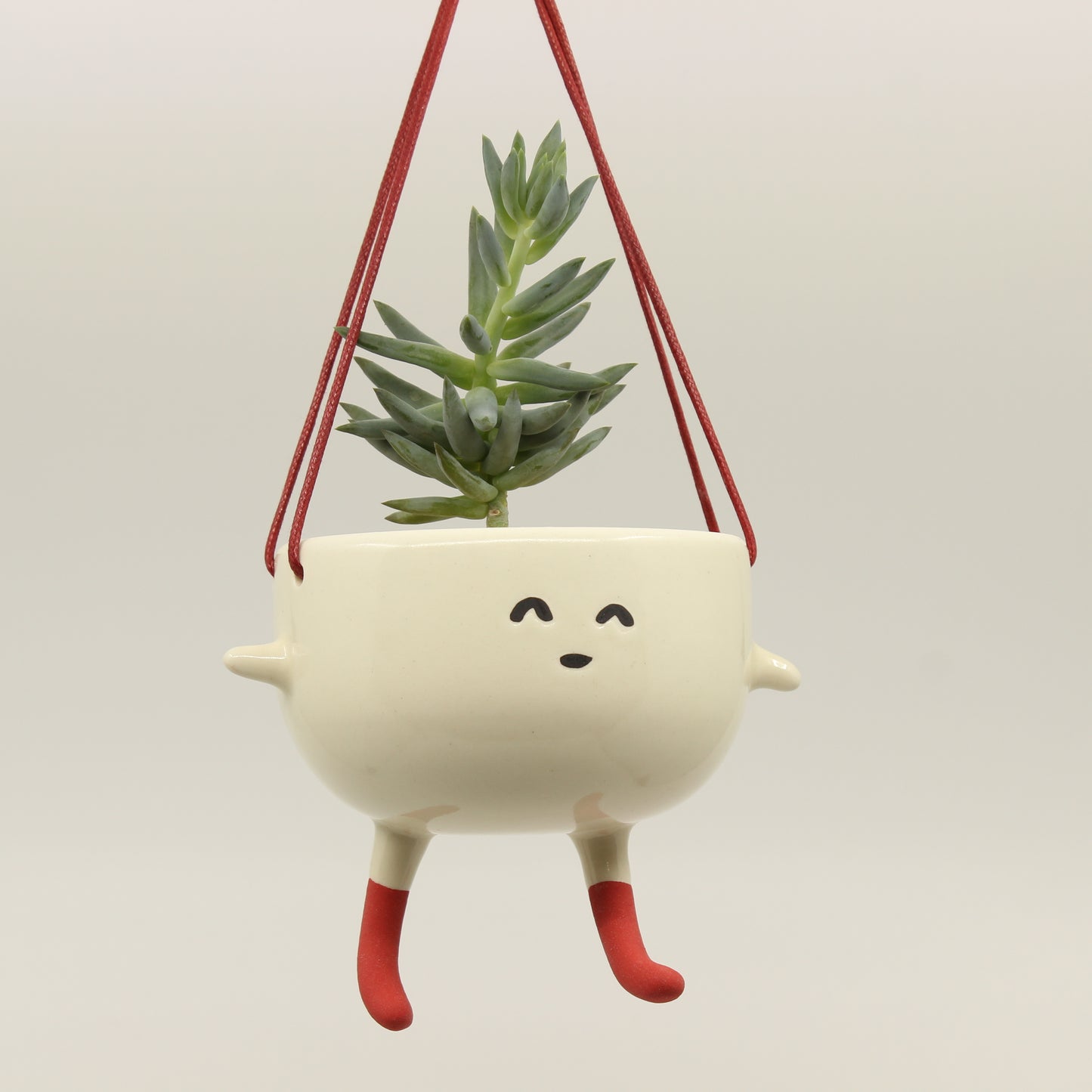 Socks! the Little Hanging Planter