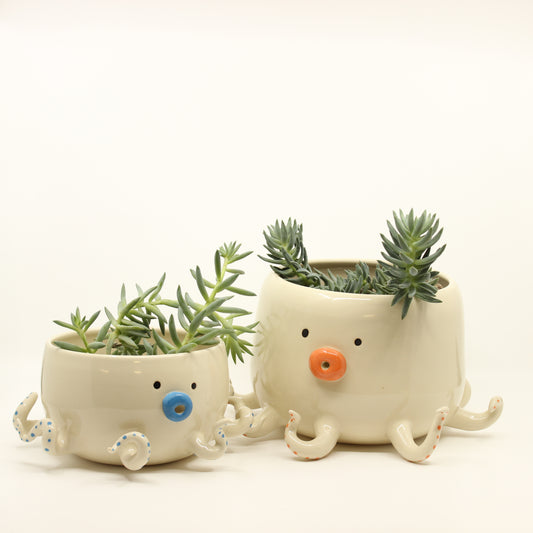 Perched Octoz Planter
