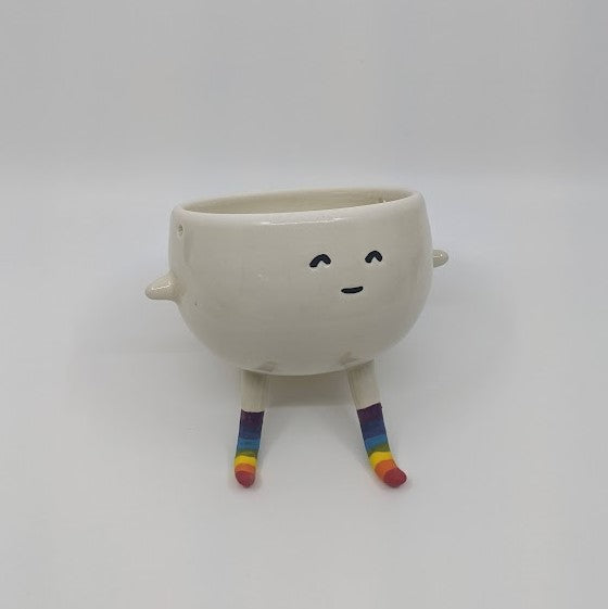 Socks! the Little Hanging Planter