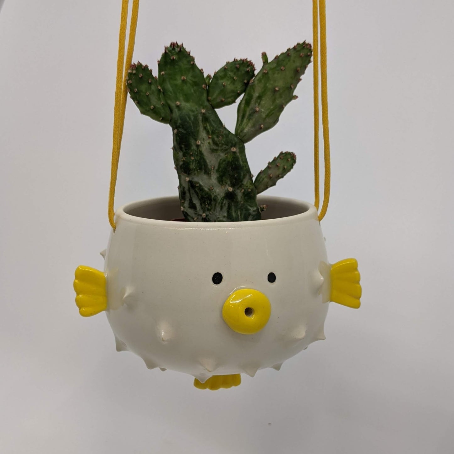 Puffer Fish Hanging Planter