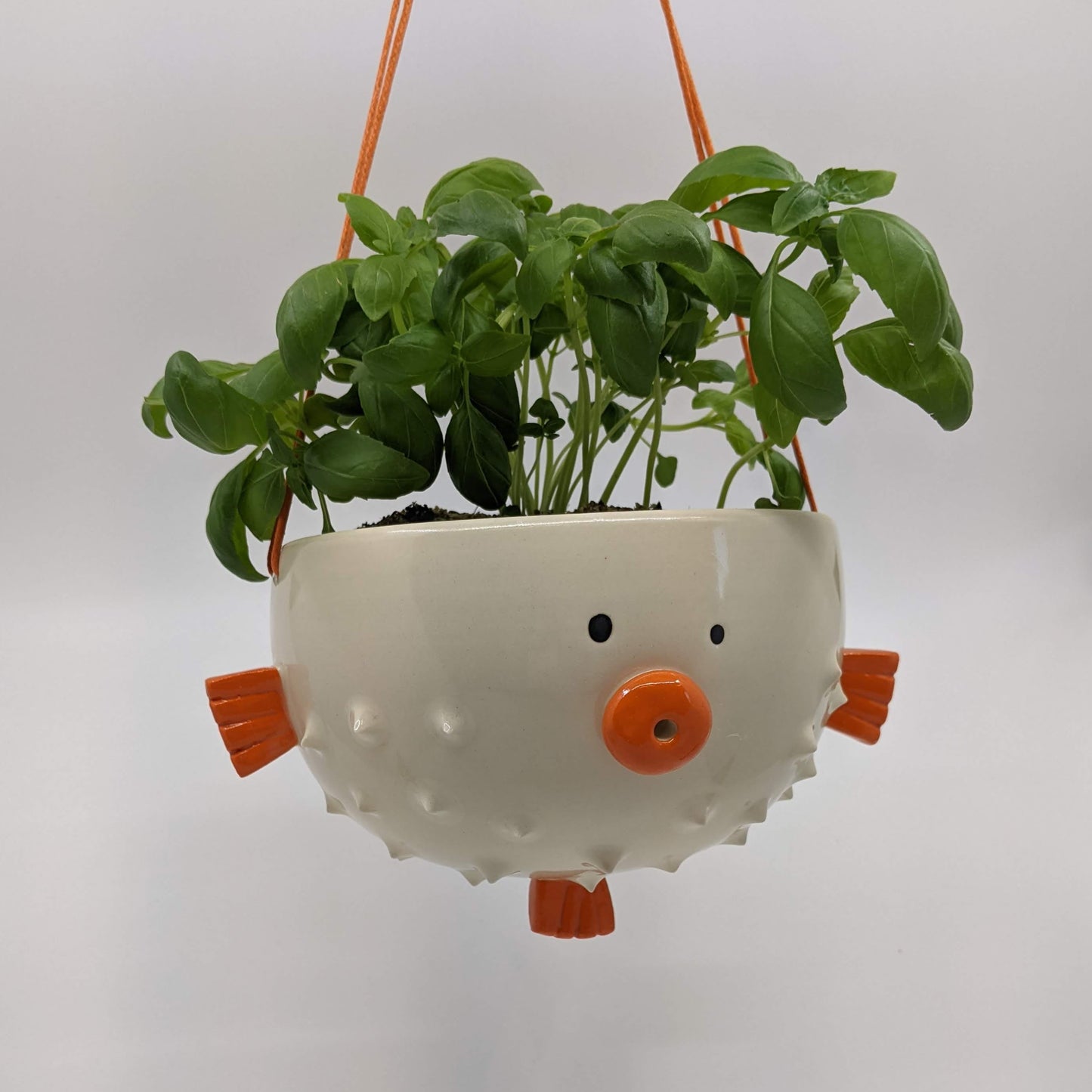 Puffer Fish Hanging Planter