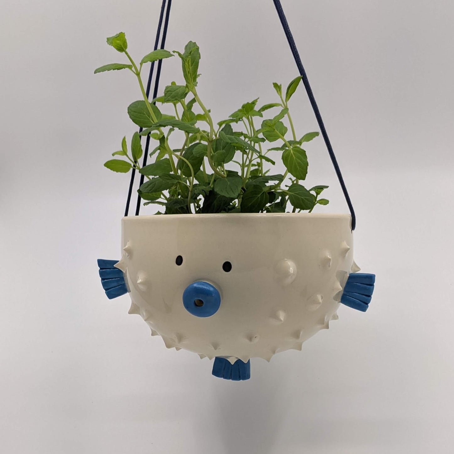 Puffer Fish Hanging Planter