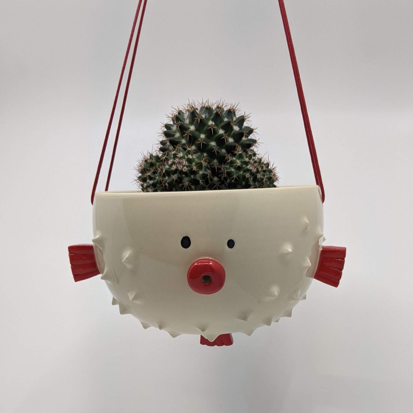 Puffer Fish Hanging Planter