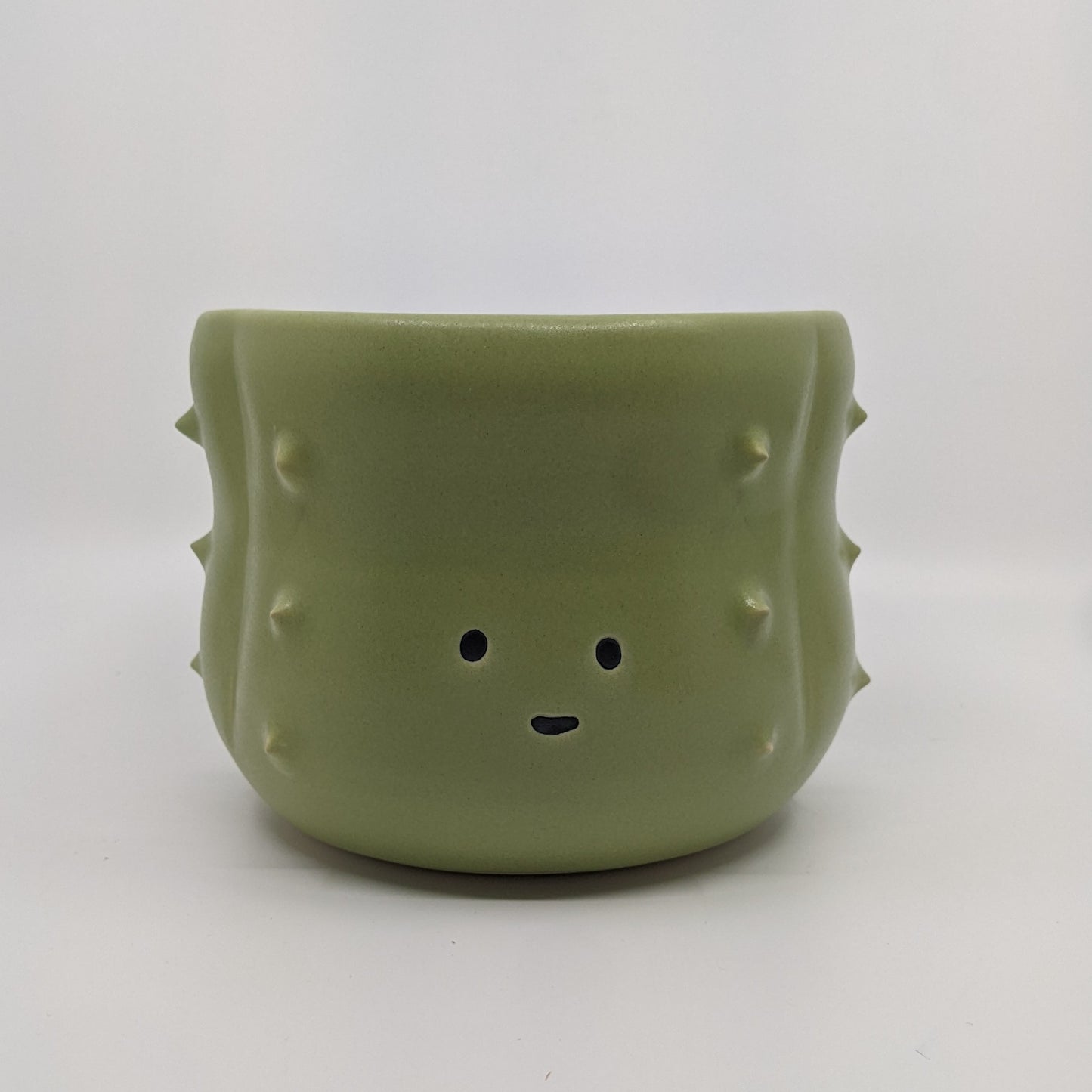 Cactus Plant Pot
