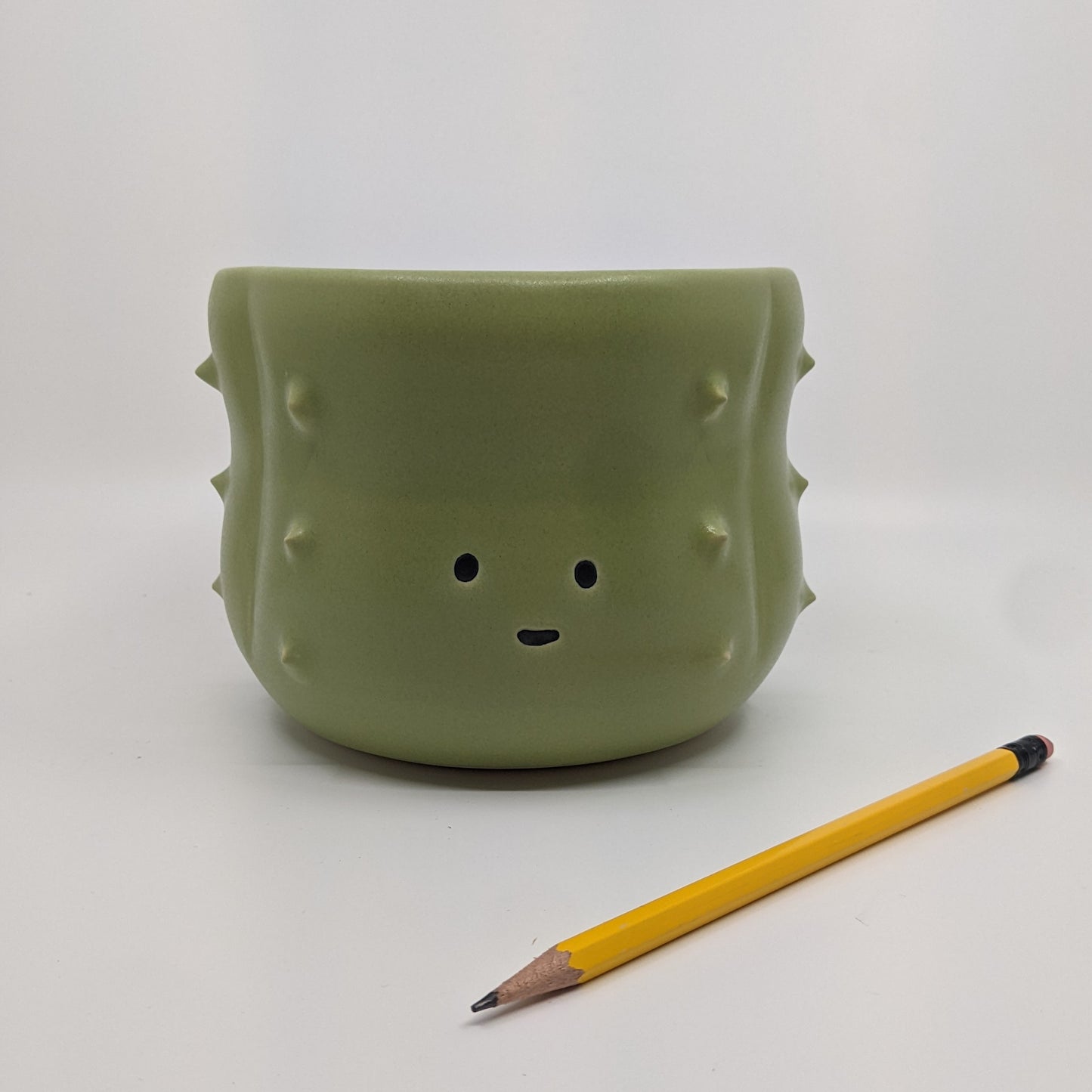 Cactus Plant Pot