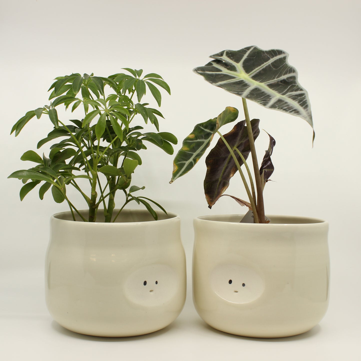 Sittin' Pretty Plant Pot & Utensil Jar