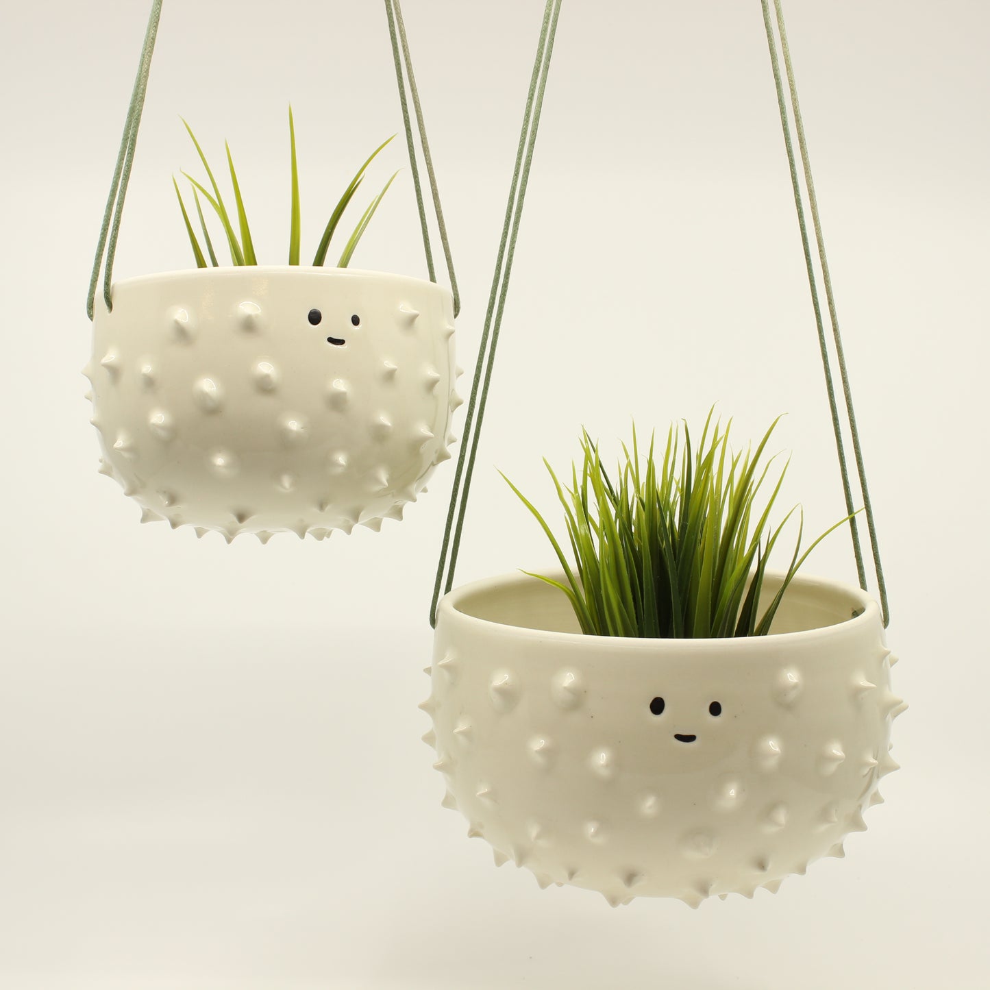 Spiky Hanging Planter