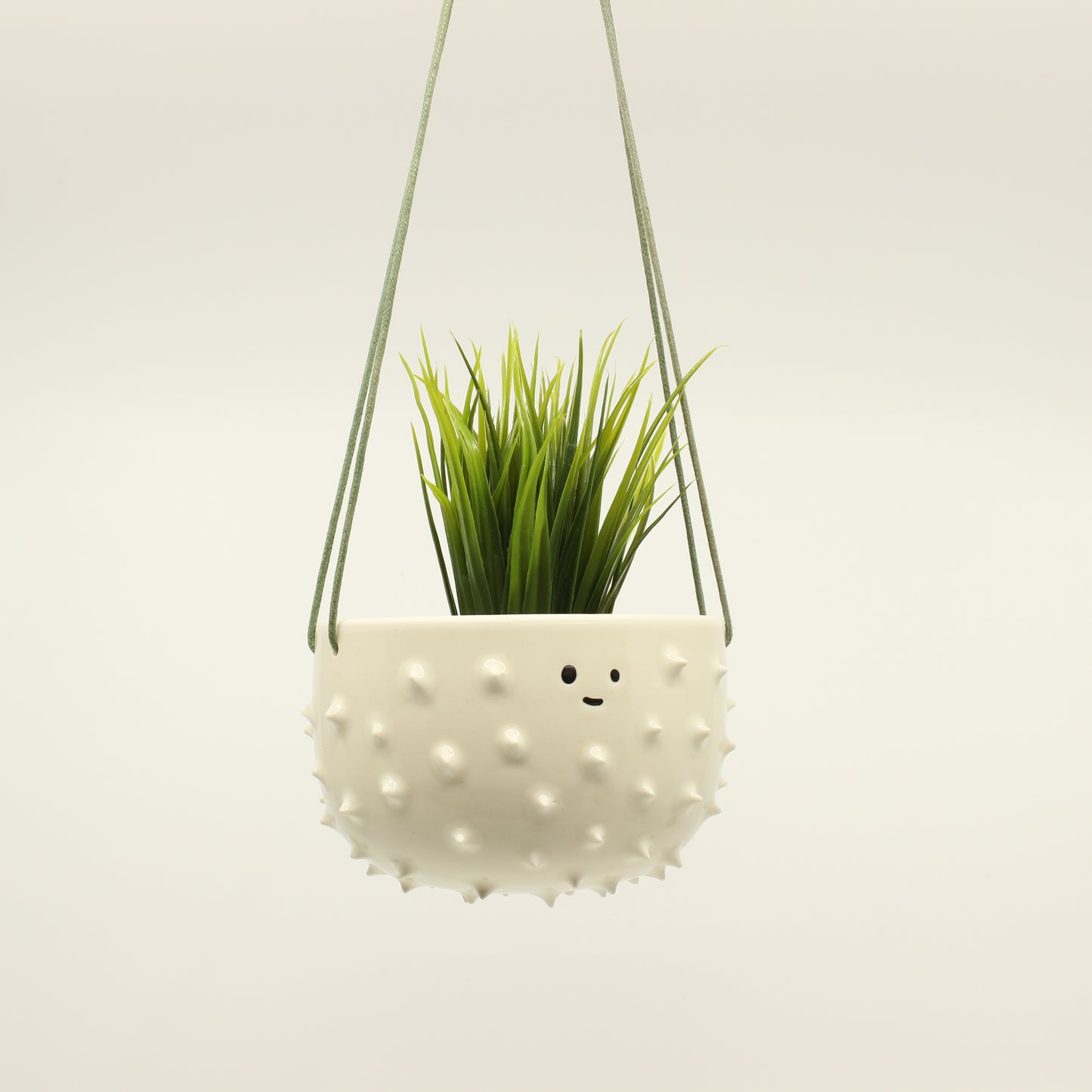 Spiky Hanging Planter