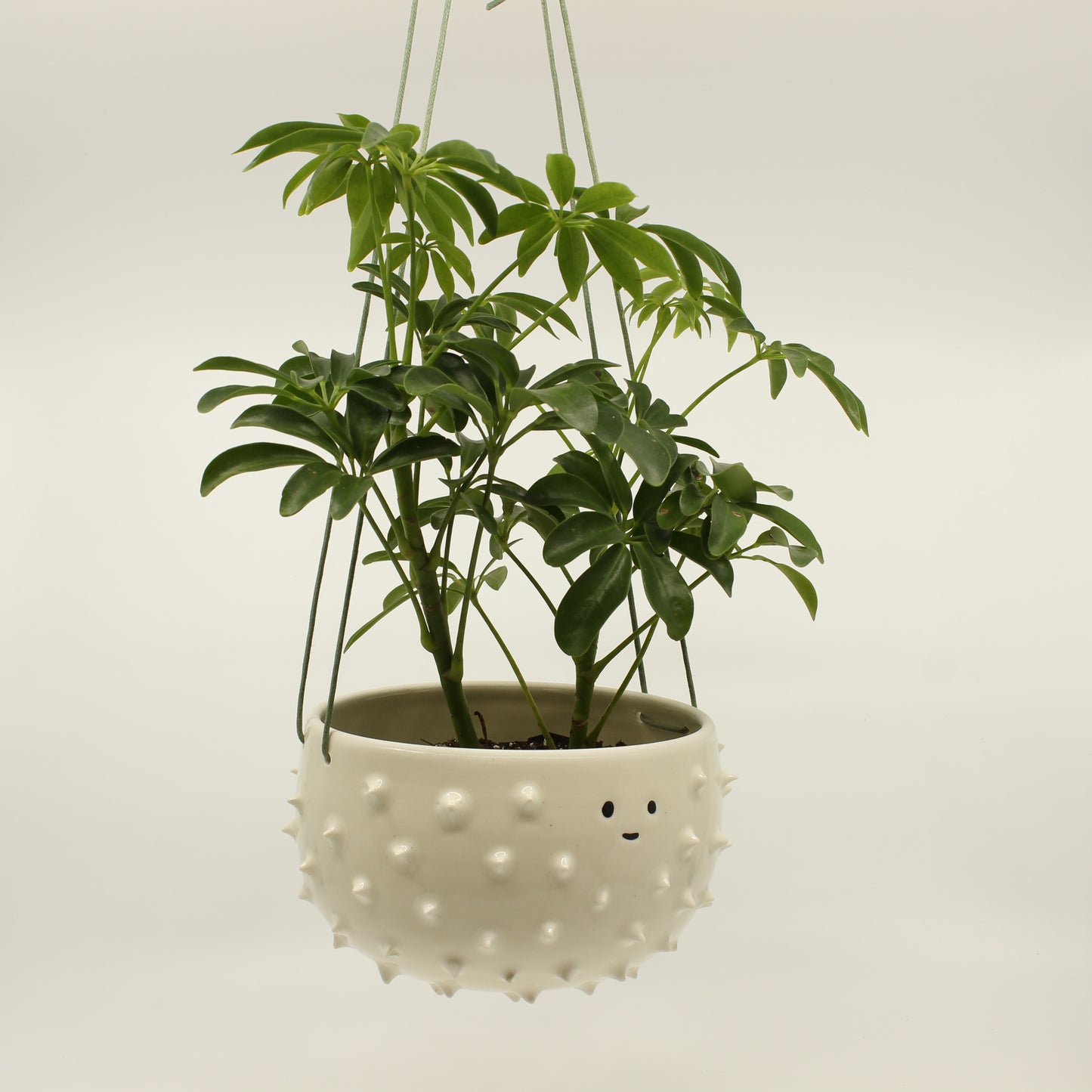 Spiky Hanging Planter