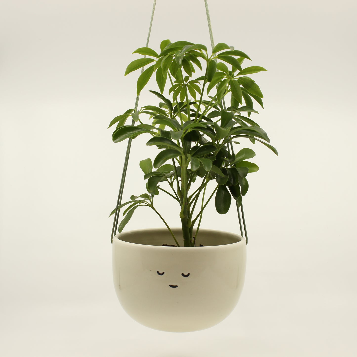 Classic Companion Hanging Planter