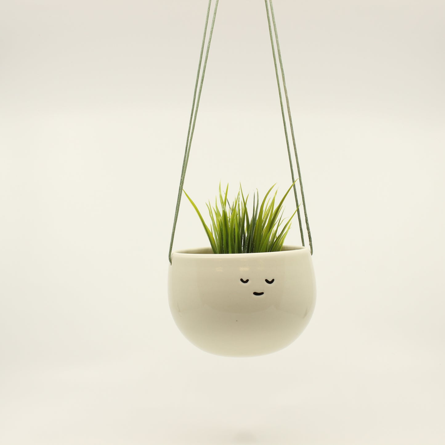 Classic Companion Hanging Planter