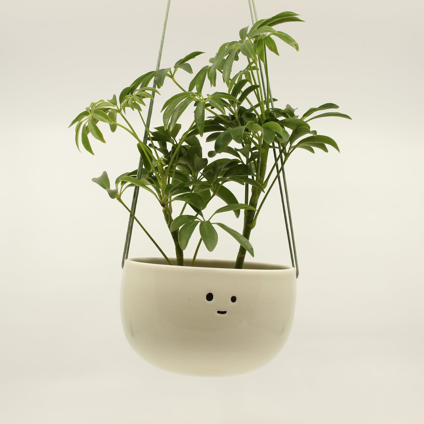 Classic Companion Hanging Planter