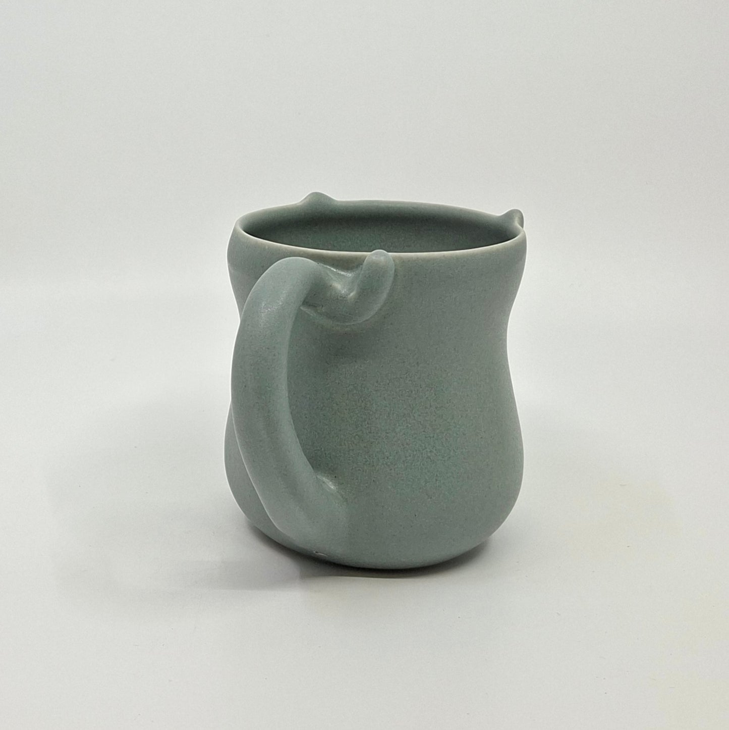 Moustaches - Mugs Chat Gris