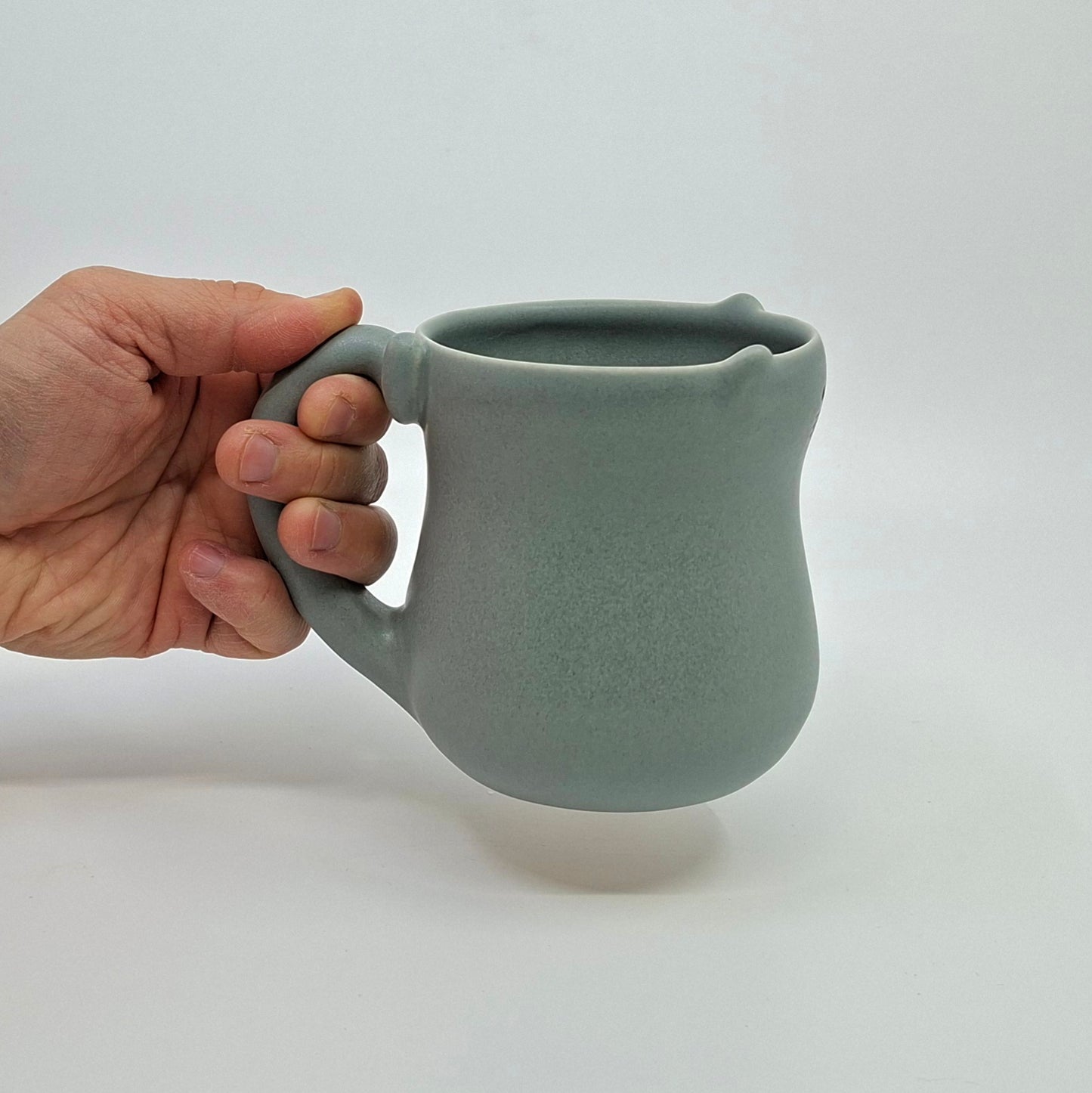 Moustaches - Mugs Chat Gris