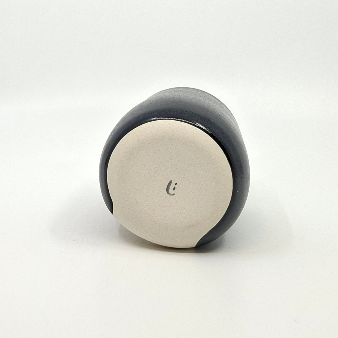 Business Goose Penguin Tumbler