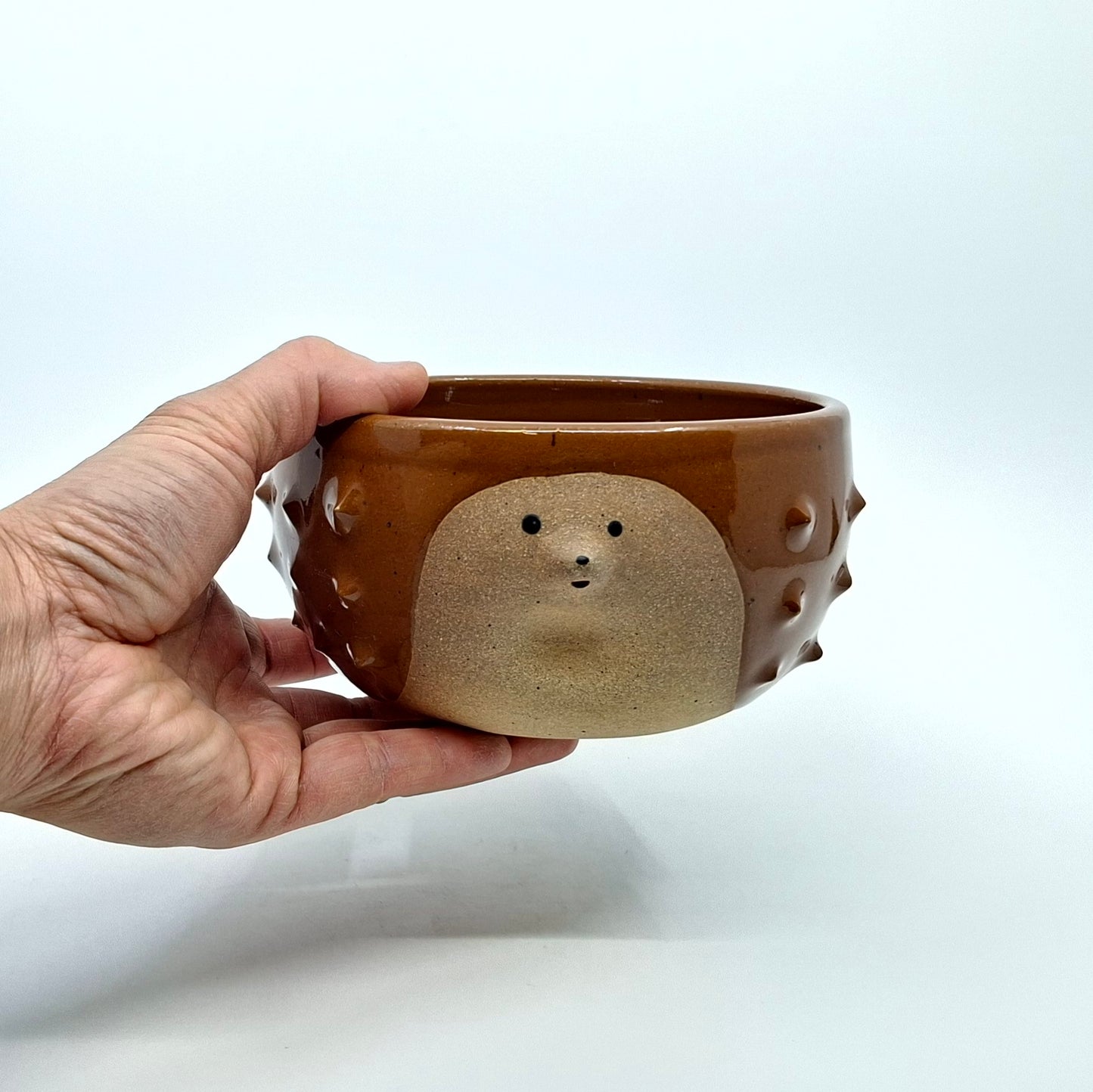 Bols Hérisson Câlin