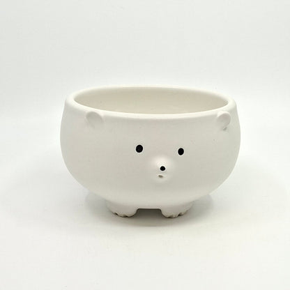 Polar Bear Bowl