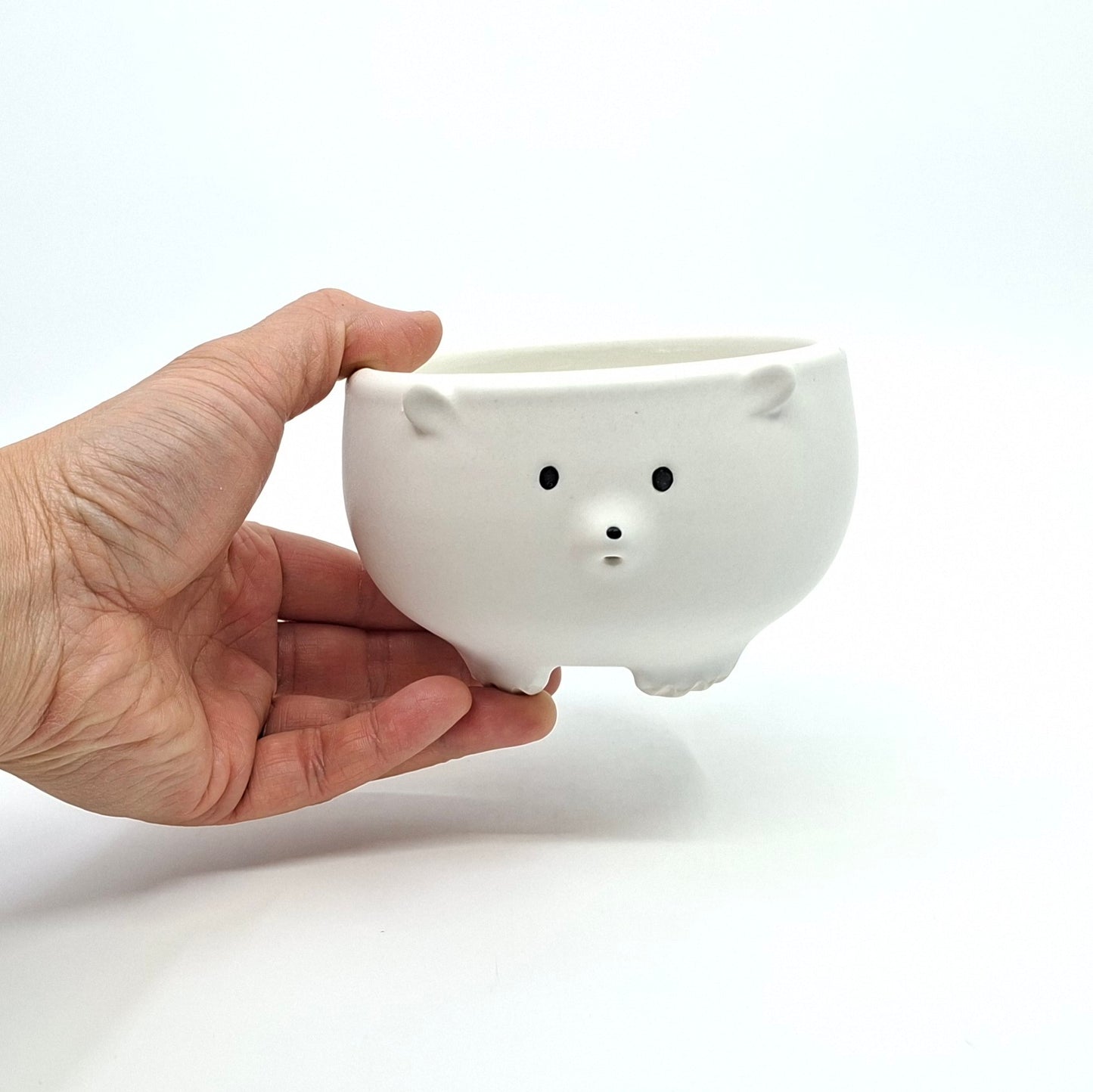 Polar Bear Bowl