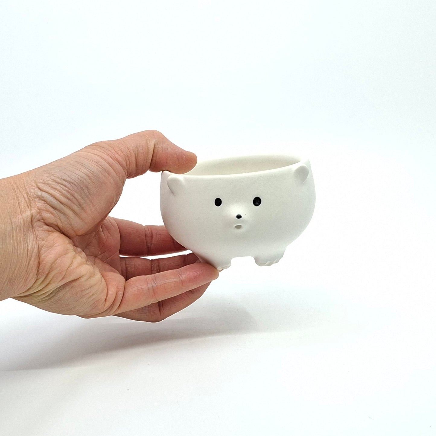 Polar Bear Bowl