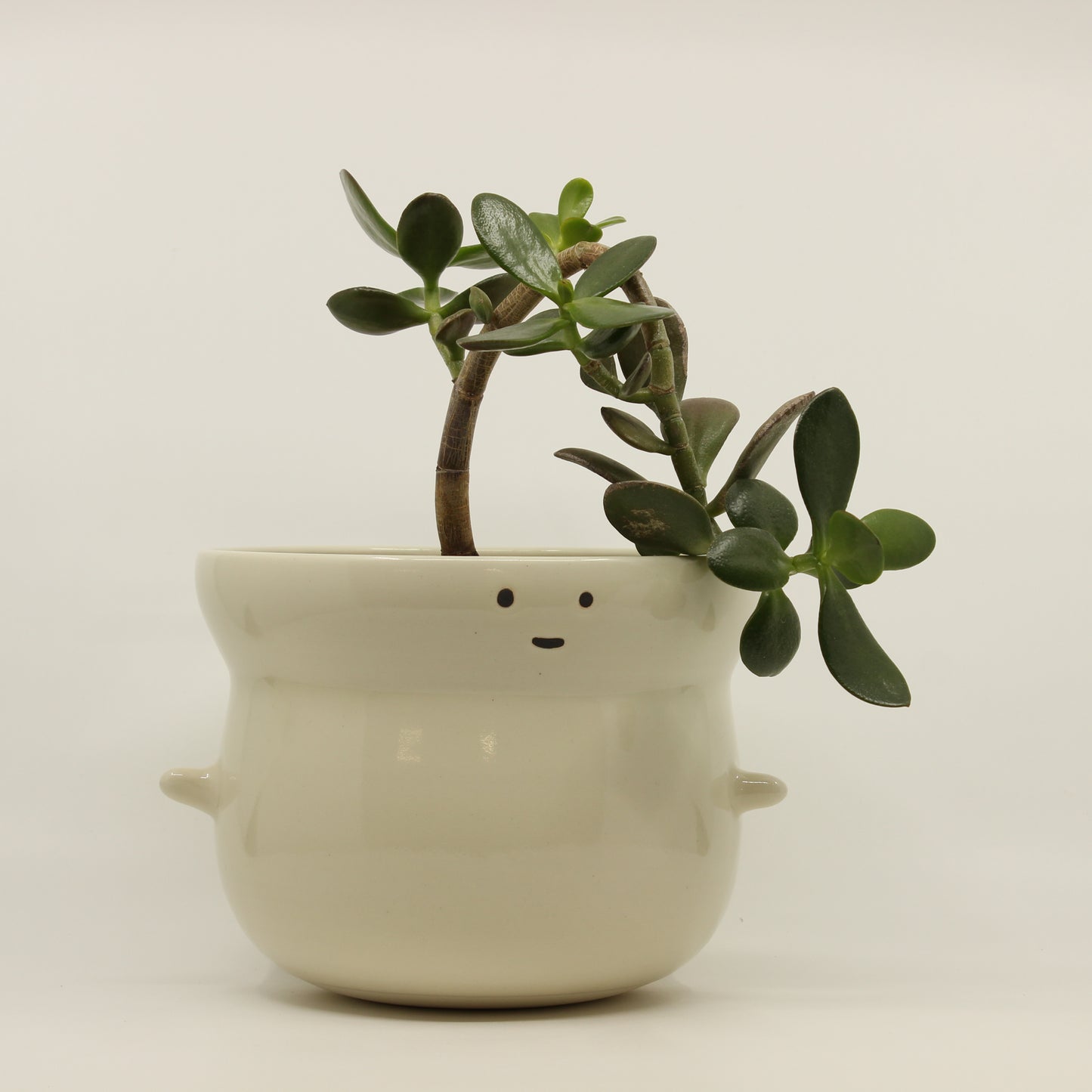 Roly Poly Planter