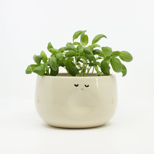 Dozing Planter