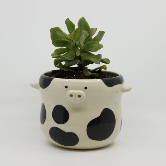 Big Moo Utensil Jar