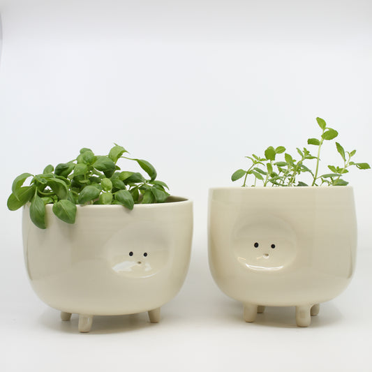 Tippy Toe Planters