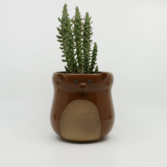Grumblr - Bear Planter