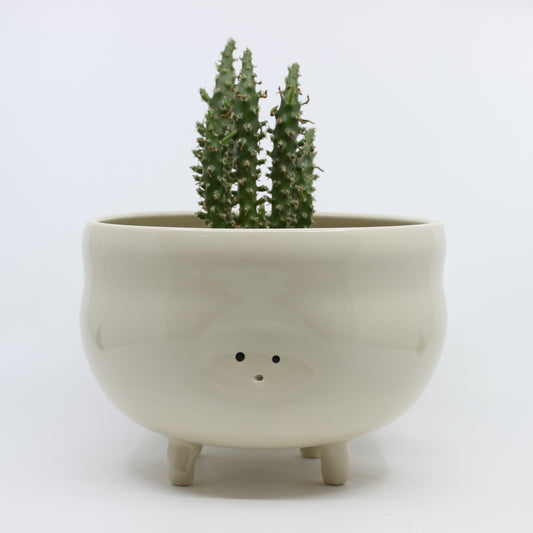 Tippy Toe Planter