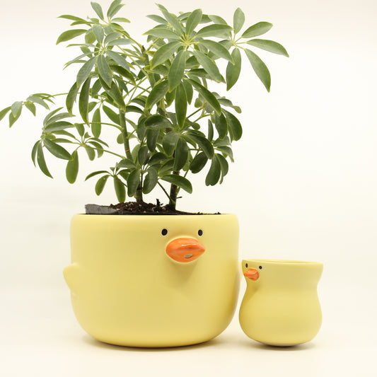 Big Quack Planter